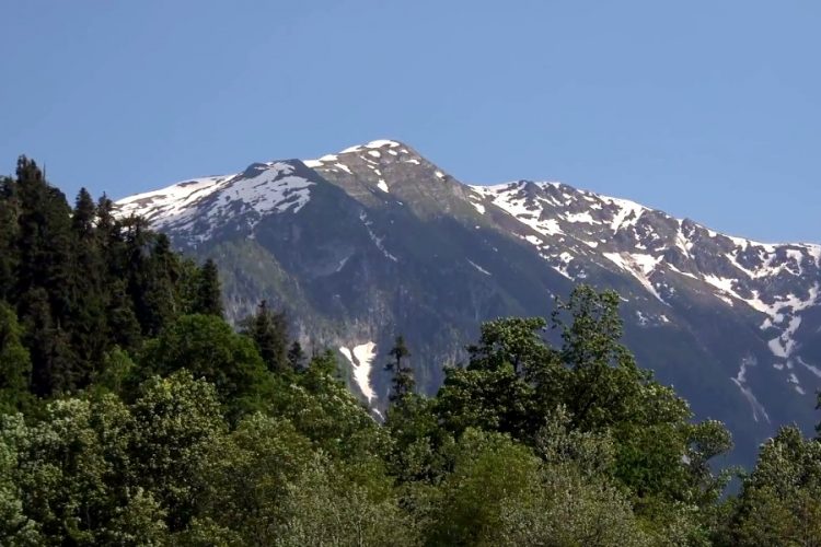 Абхазия ждет инспекцию из России, чтобы открыть границы