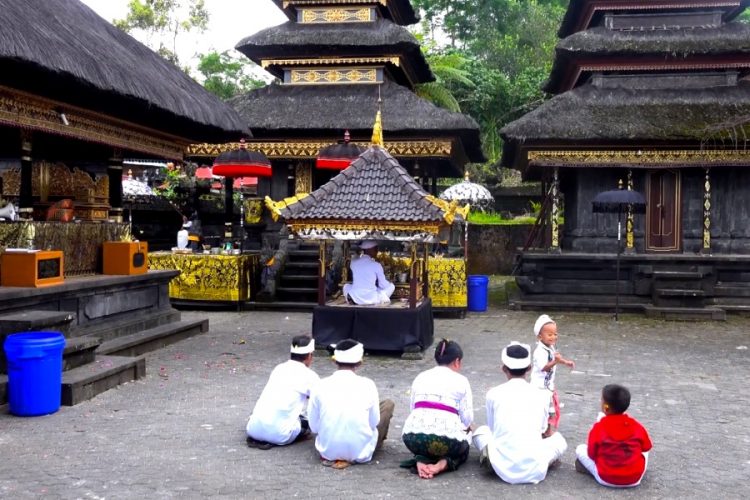 О перспективах открытия Индонезии расскажут 30 июля