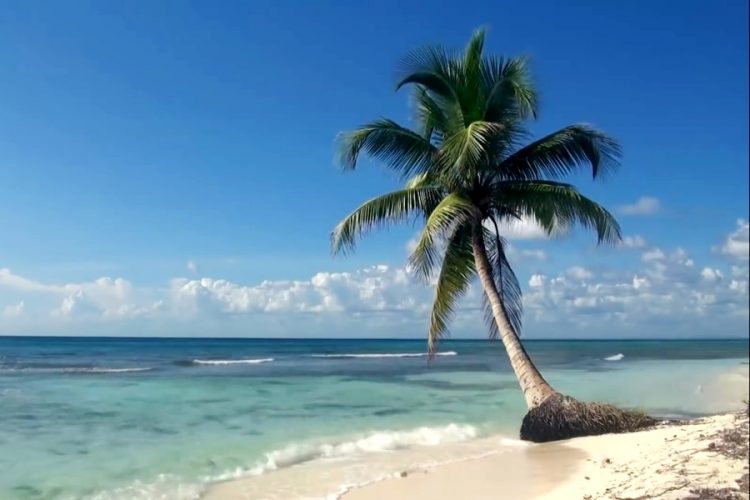 Сколько будет стоить отдых на море в первую неделю августа?