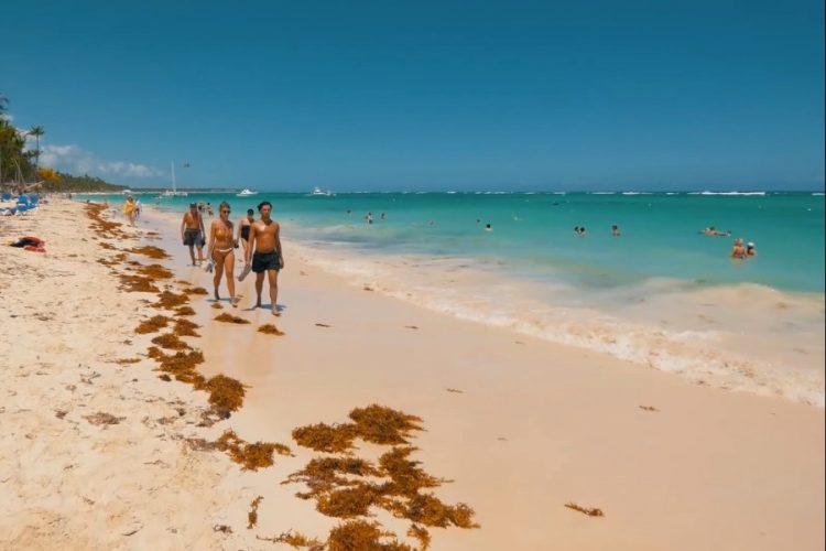 В Доминикане рассказали, как будут принимать туристов