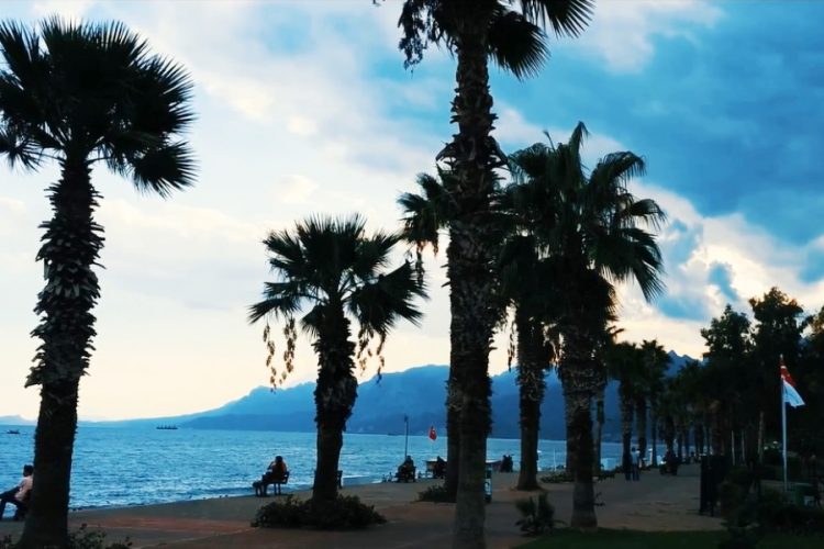 Россиян призвали не планировать отдых в Турции