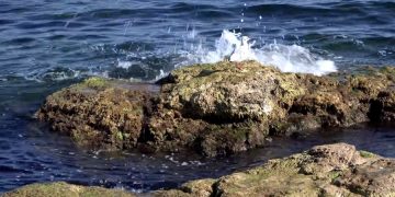 В каких случаях туристы не смогут получить кэшбек за туры по России?