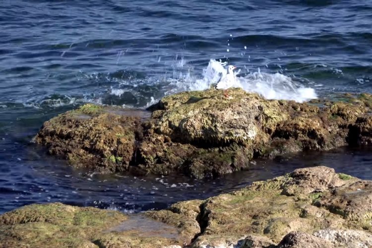 В каких случаях туристы не смогут получить кэшбек за туры по России?