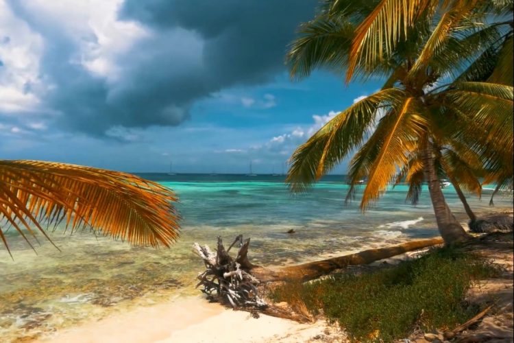 Доминиканская республика готова принять туристов из России