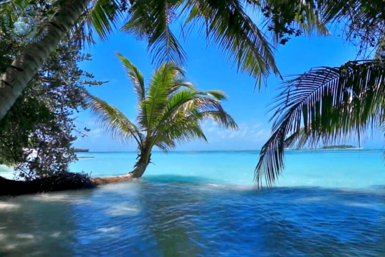 Туроператоров волнует неопределенность с открытием Шри-Ланки