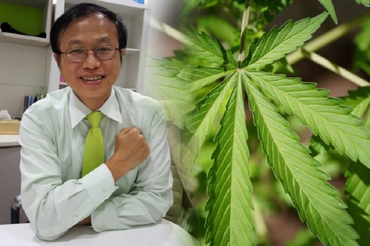 новость 14-08-2020 Таиланд будет привлекать иностранных туристов марихуаной