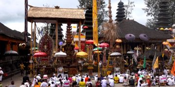 Россияне поддерживают петицию по поводу открытия Бали