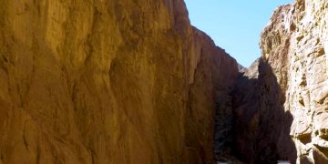 Египет готовит торжественную транспортировку 22 мумий фараонов