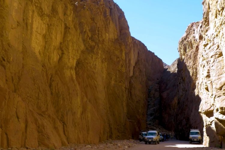 Египет готовит торжественную транспортировку 22 мумий фараонов