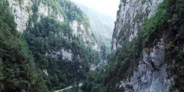 Стали известны подробности о первом заболевшем коронавирусом туристе в Абхазии