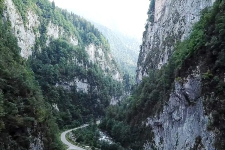 Стали известны подробности о первом заболевшем коронавирусом туристе в Абхазии