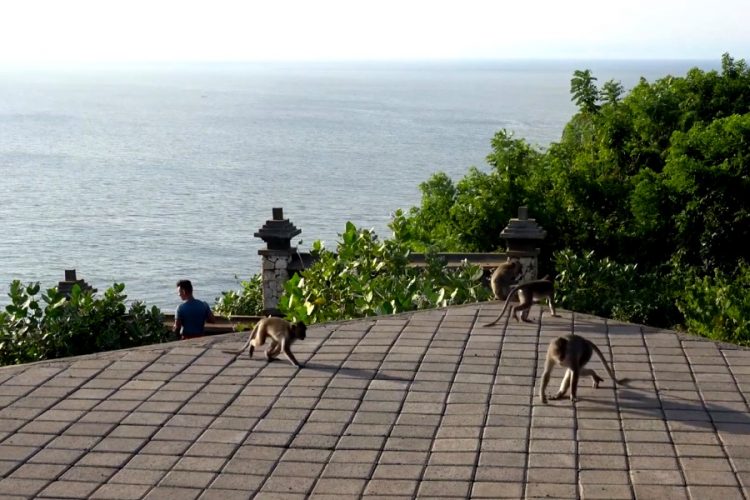 Российских туристов больше не будут бесплатно вывозить из других стран