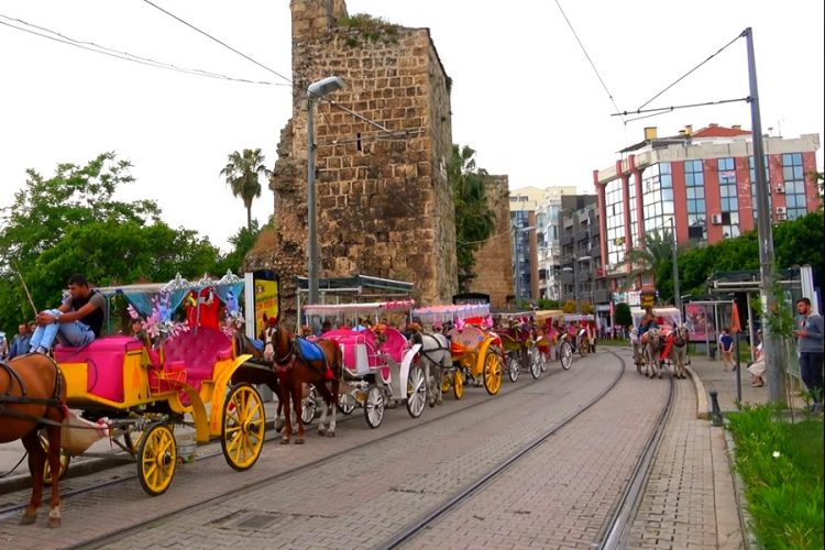 Информацию относительно заболевших коронавирусом в Турции истолковали неверно