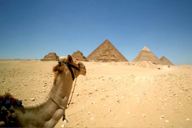 Успеют ли россияне насладиться чартерными субсидиями Египта?