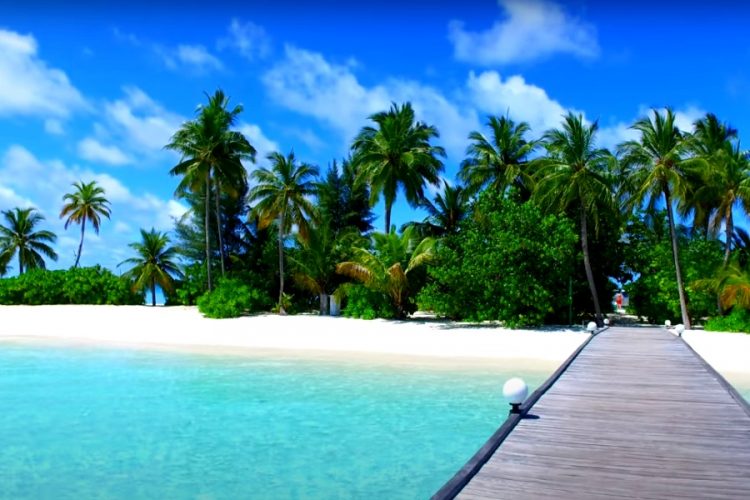 Россияне готовы ехать на Мальдивы даже с 2 пересадками