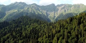Абхазия уточнила, что будут делать в случае роста количества зараженных коронавирусом