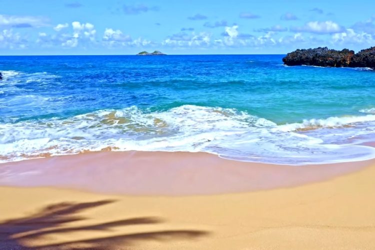 Страховщики призывают пресекать попытки туроператоров обмануть их