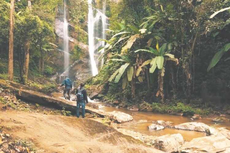 Тайская гостиничная ассоциация требует открыть границы