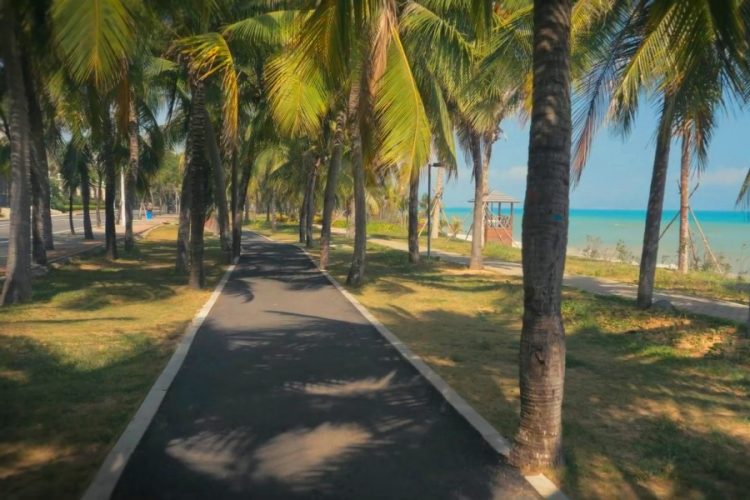 Международный биржевый яхт-центр откроется в Санье