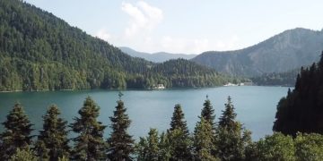 В России и Абхазии объяснили, как будут помогать заболевшим российским туристам