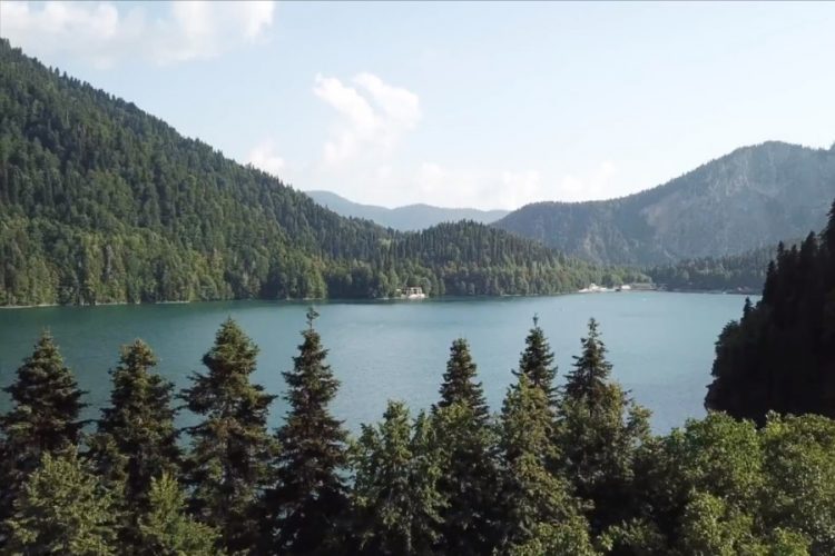 В России и Абхазии объяснили, как будут помогать заболевшим российским туристам