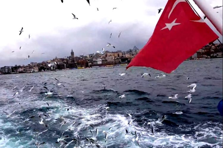 Президент Турции собрал совет, чтобы обсудить ужесточение карантина