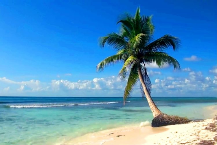 TUI Group пытается получить 1 млрд. евро на спасение