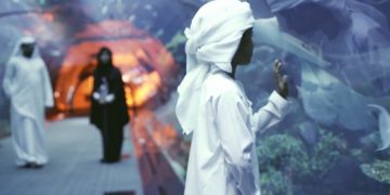 Когда ждать чартеров в ОАЭ?