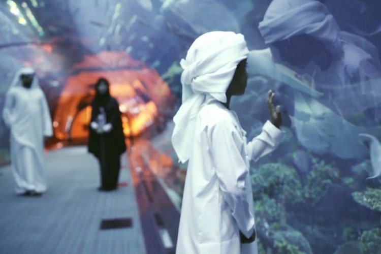 Когда ждать чартеров в ОАЭ?