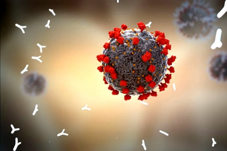 В аэропорту Кольцово смогут тестировать больше людей на коронавирус