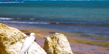 Туристы обозначили направления, открытия которых ожидают больше всего