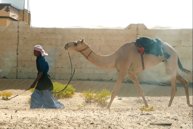 Когда россияне смогут поехать в Оман?