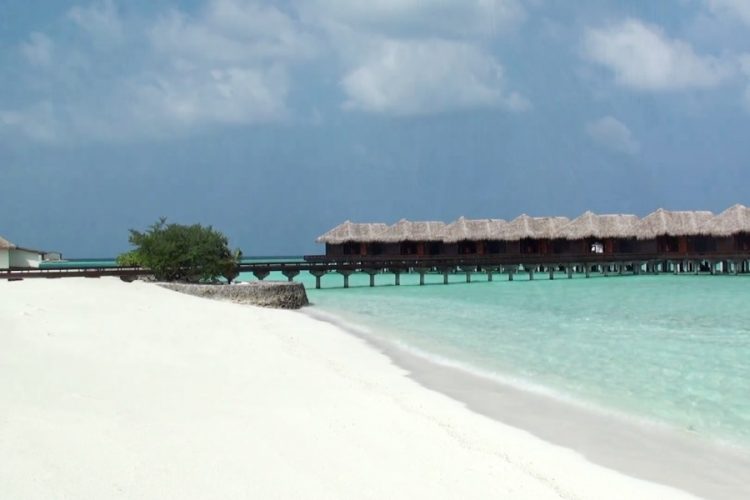 Обозначено количество ушедших из рынка турагентов