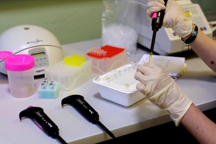 Визовый центр поможет туристам пройти тесты на Covid-19