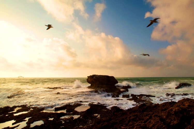 Гоа беспокоится о том, что внутренние туристы испортят репутацию