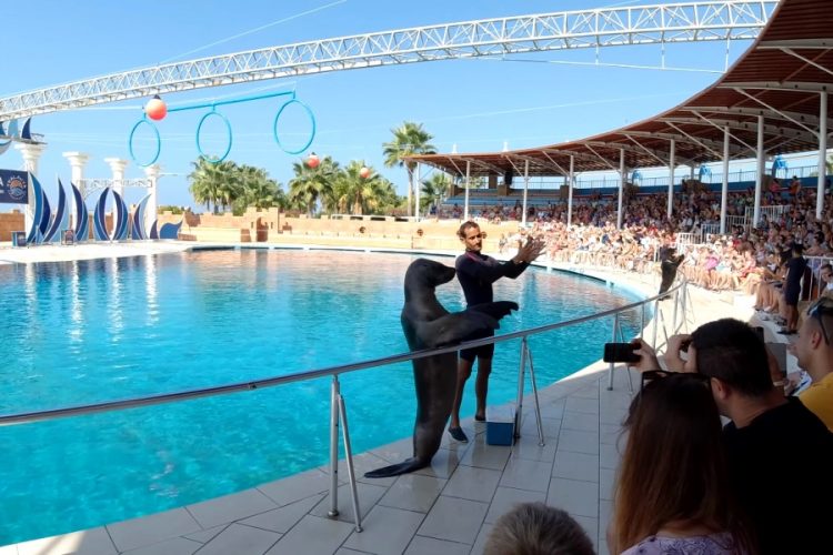 Честность турецких отелей поставили под сомнение