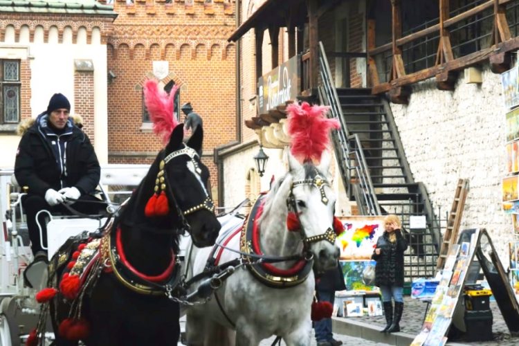 Европейские страны одна за другой заявляют о начале второй волны коронавируса