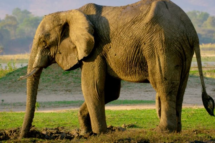 С 1 октября открывается еще одно экзотическое направление