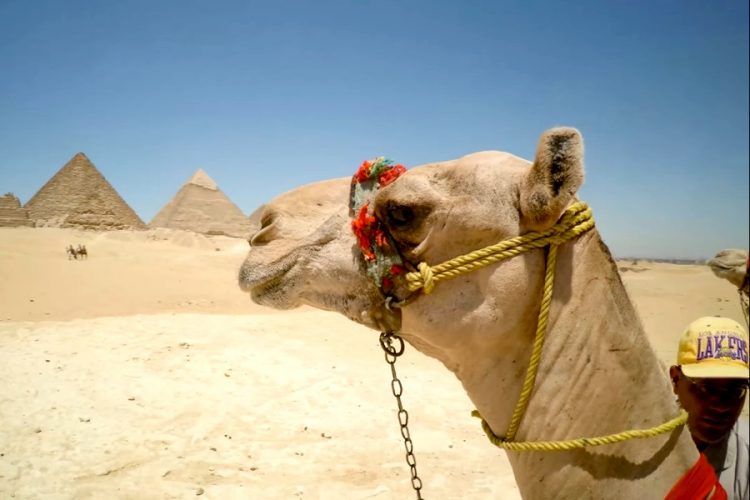 Будут ли рады низкобюджетным туристам в Египте?