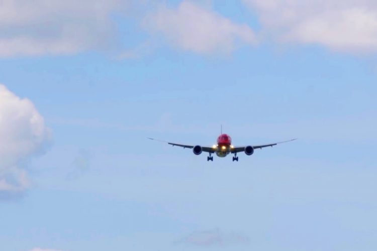 Британская стюардесса неудачно перевоплотилась в наркодилера