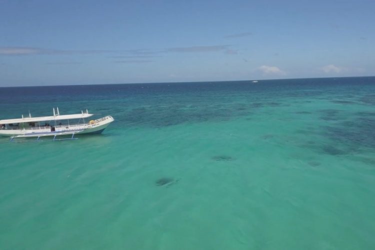 Туристы обсуждают возможность не отчитываться о сдаче ПЦР-теста на коронавирус