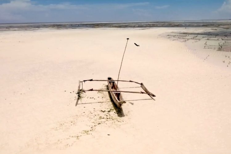 Тест на коронавирус перед Танзанией: сдавать или нет?