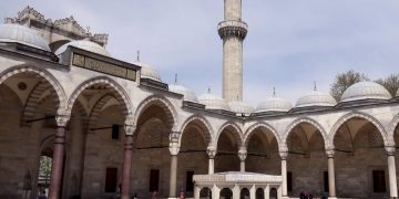 Где сделать тест на COVID-19 в Турции, как долго его делают и сколько стоит услуга?
