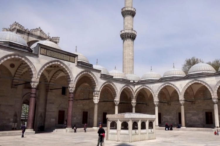 Где сделать тест на COVID-19 в Турции, как долго его делают и сколько стоит услуга?