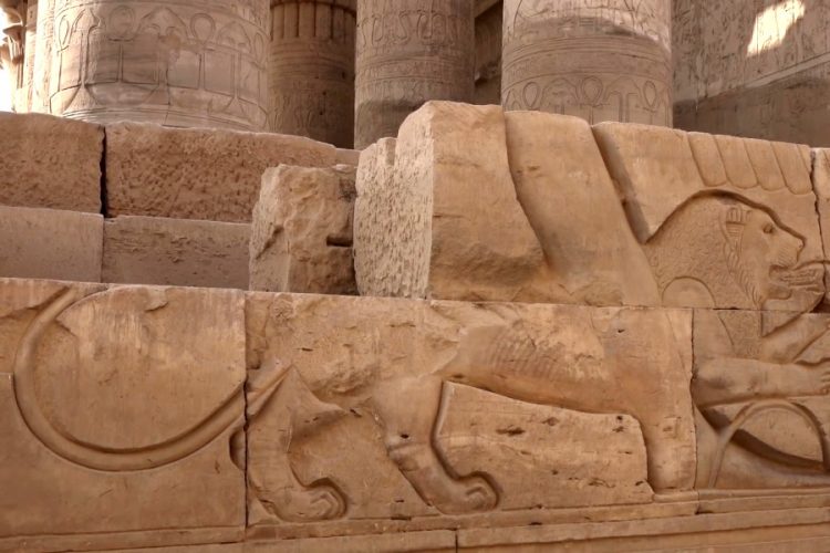 Россия открыла границы с ОАЭ, Египтом и Мальдивами