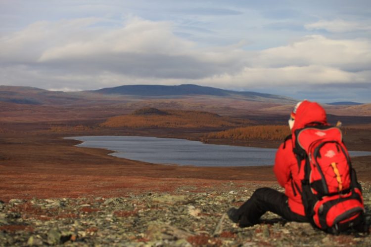 новость 13-10-2020 Полуостров Ямал в 2021 году будет развивать экологический туризм