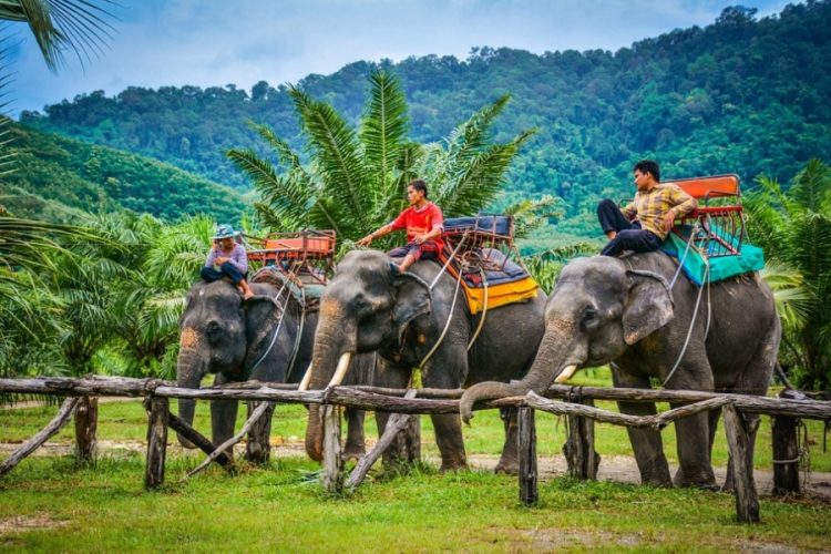 новость 30-10-2020 Какие страны заменят Вьетнам и Таиланд этой зимой?