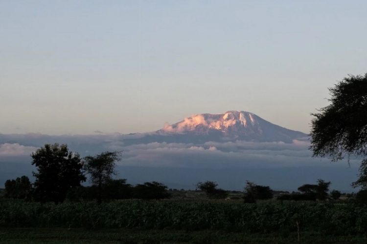 новость 10-10-2020 Будет ли Танзания пользоваться высоким спросом рассказали в РСТ