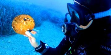 В Турции обнаружили подводные сокровища, возраст которых около 4000 лет