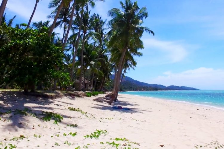 Прибытие долгосрочных туристов в Таиланд оказалось ложью чиновников